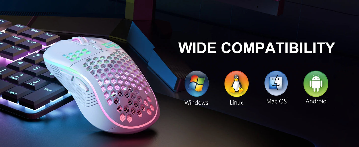 Mouse RGB Lighting Charging 2.4G Wireless Gaming